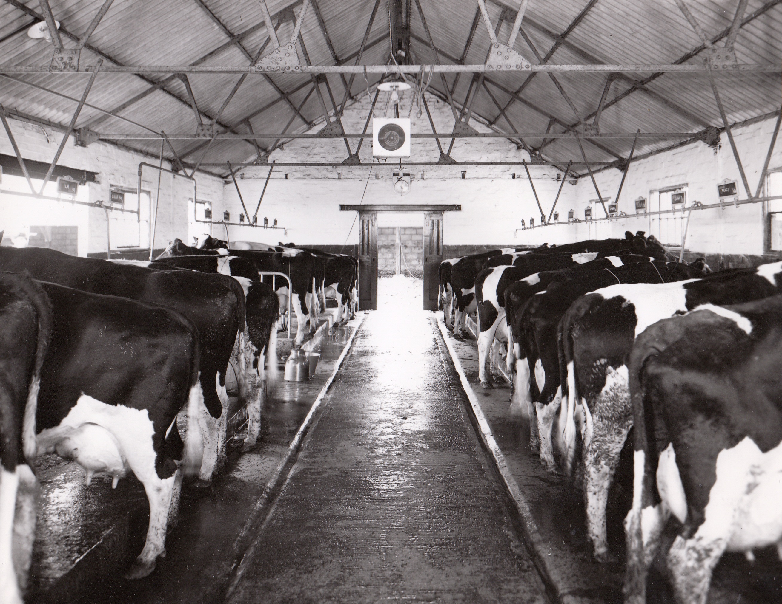 Photograph Of Jim Fielding's Farming Activities 