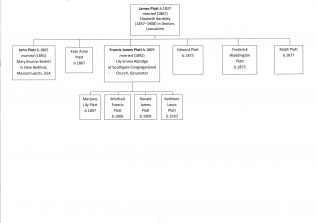 The Platt Family Tree | The Platt Family | Fielding and Platt History